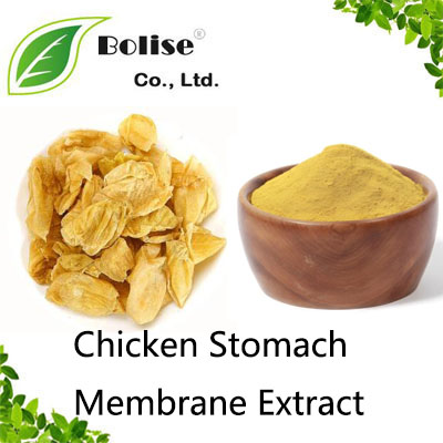 Chicken Stomach Membrane Extract