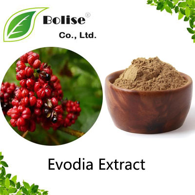 Evodia Extract Evodia Extract