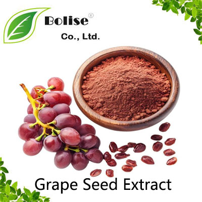 Grape Seed Extract