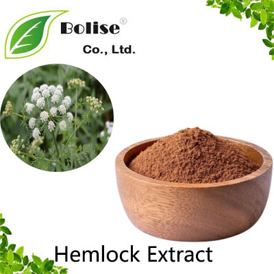 Hemlock Extract