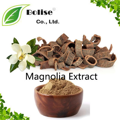 Magnolia Extract