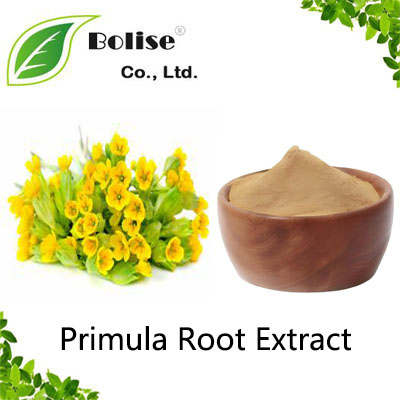 Primula Root Extract Primula Root Extract
