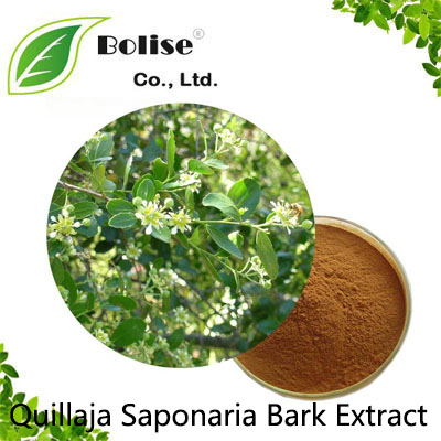 Quillaja Saponaria Bark Extract