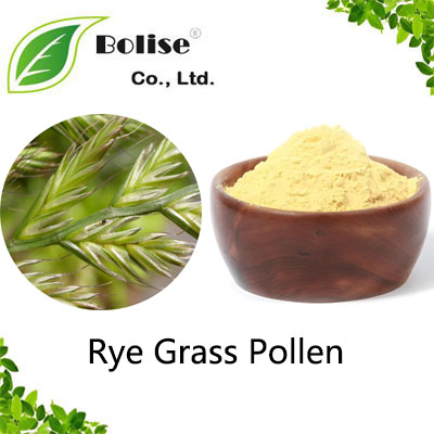 Rye Grass Pollen Rye Grass Pollen