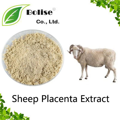 Sheep Placenta Extract Sheep Placenta Extract