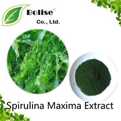 Spirulina Maxima Extract