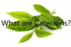 What are Catechins? What are Catechins?