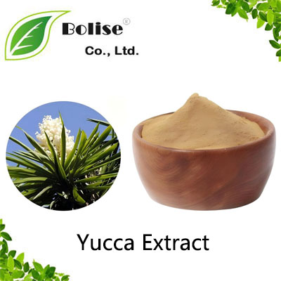 Yucca Extract Yucca Extract
