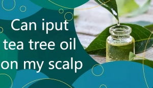 Can iput tea tree oil on my scalp Can iput tea tree oil on my scalp