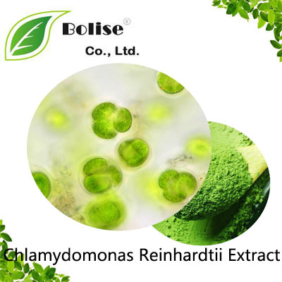 Chlamydomonas Reinhardtii Extract Chlamydomonas Reinhardtii Extract