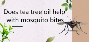 Does tea tree oil help with mosquito bites Does tea tree oil help with mosquito bites