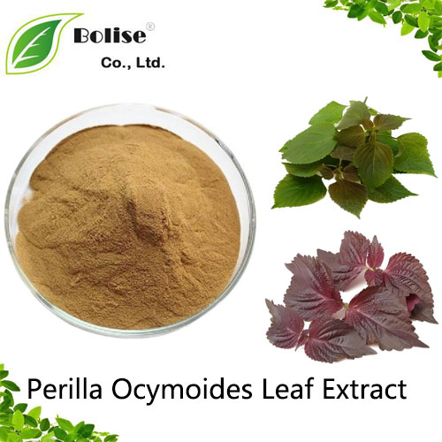 Perilla Ocymoides Leaf Extract