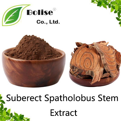 Suberect Spatholobus Stem Extract Suberect Spatholobus Stem Extract