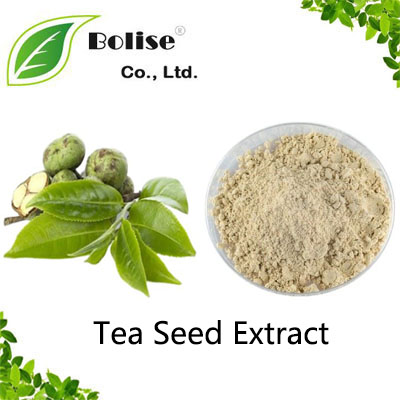 Tea Seed Extract Tea Seed Extract