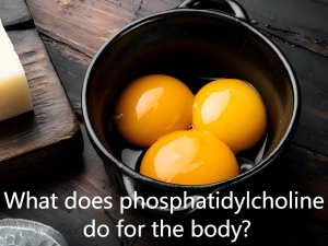 What does phosphatidylcholine do for the body? What does phosphatidylcholine do for the body?