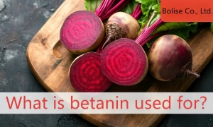 What is betanin used for?