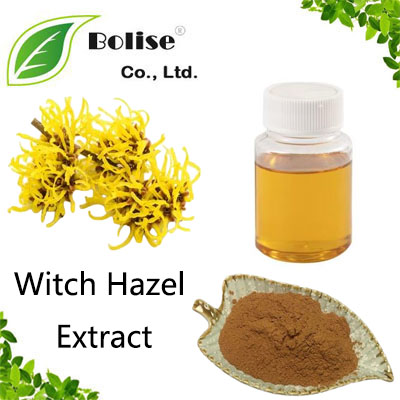Witch Hazel Extract Witch Hazel Extract