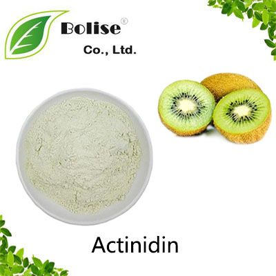 Actinidin