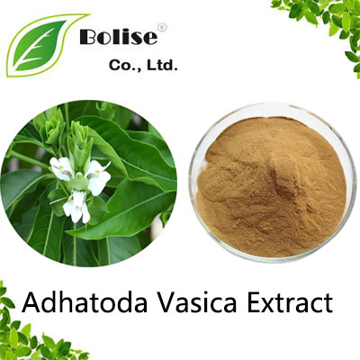 Adhatoda Vasica Extract