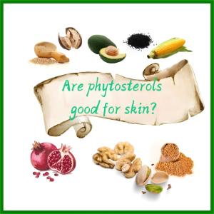 Are-phytosterols-good-for-skin Are-phytosterols-good-for-skin