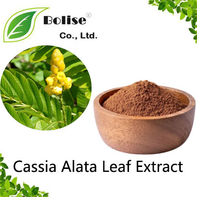 Cassia Alata Leaf Extract Cassia Alata Leaf Extract