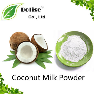 Coconut Milk Powder Coconut Milk Powder