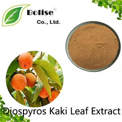 Diospyros Kaki Leaf Extract Diospyros Kaki Leaf Extract