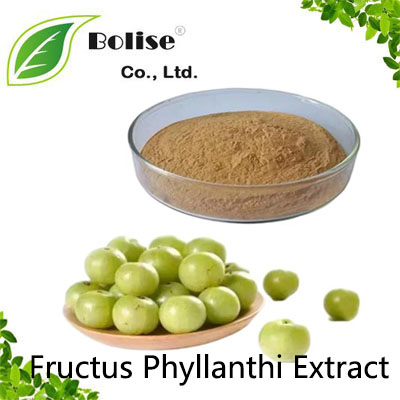 Fructus Phyllanthi Extract Fructus Phyllanthi Extract