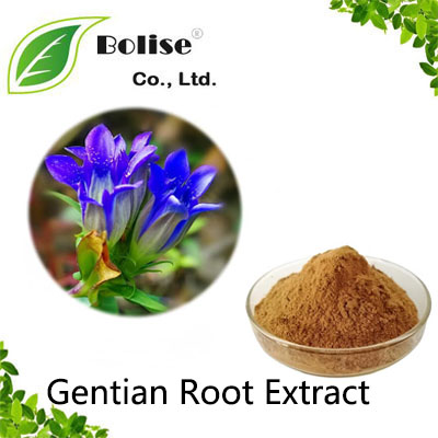 Gentian Root Extract Gentian Root Extract