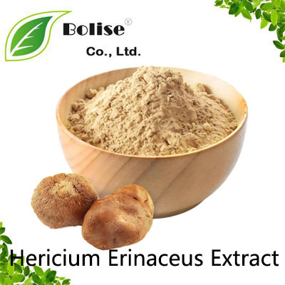 Hericium Erinaceus Extract