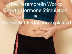 How Tesamorelin Works: Growth Hormone Stimulation & Visceral Fat Reduction Explained