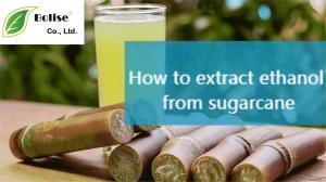 How to extract ethanol from sugarcane