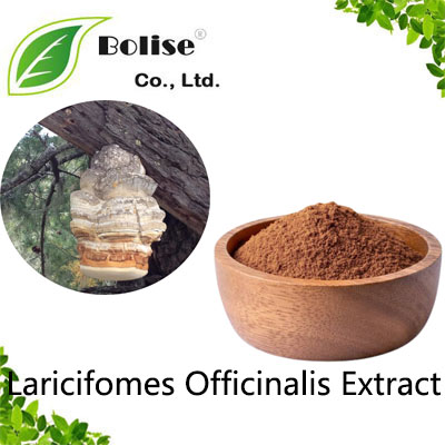 Laricifomes Officinalis Extract Laricifomes Officinalis Extract