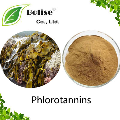 Phlorotannins Phlorotannins
