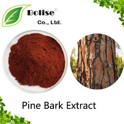 Pine Bark Extract Pine Bark Extract