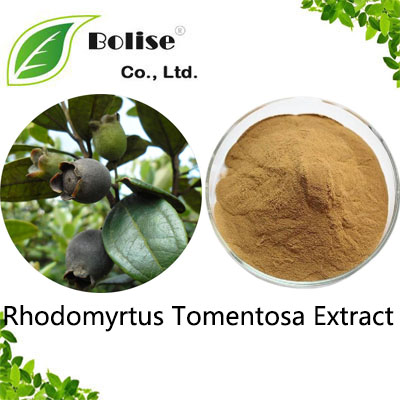 Rhodomyrtus Tomentosa Extract