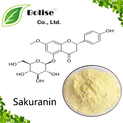 Sakuranin Sakuranin