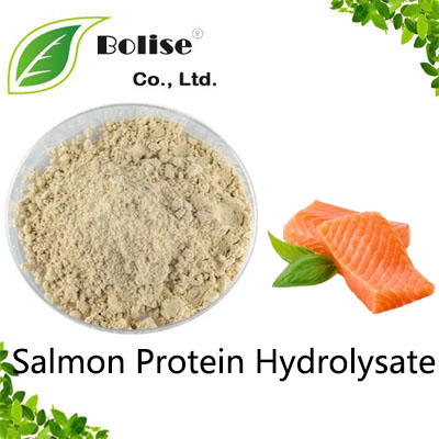 Salmon Protein Hydrolysate Salmon Protein Hydrolysate