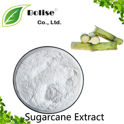 Sugarcane Extract Sugarcane Extract