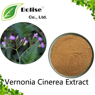 Vernonia Cinerea Extract Vernonia Cinerea Extract