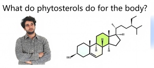 What do phytosterols do for the body? What do phytosterols do for the body?