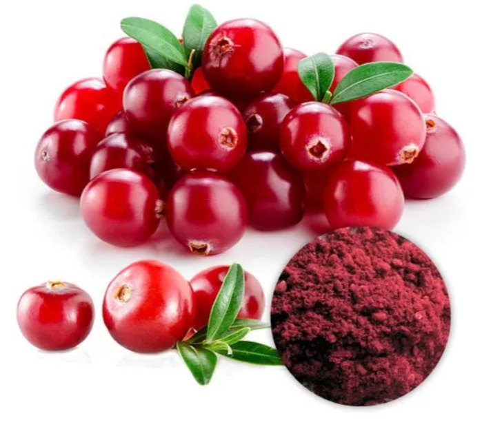 Cranberry Extract Cranberry Extract