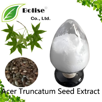Acer Truncatum Seed Extract