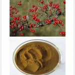 Coccinia indica extract, leaf