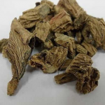Himalayan Teasel Root Extract