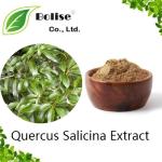 Quercus Salicina Extract
