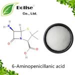 6-Aminopenicillanic acid