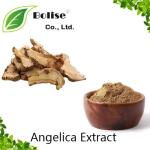 Angelica Extract
