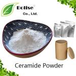 Ceramide Powder