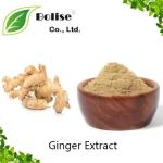 Ginger Extract